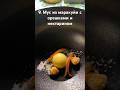 Дегустируем Итальянское меню из 9 блюд #shots #italia #italianfood #food #degustation #restaurant