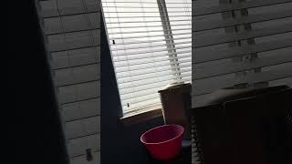 Rainy Day 14 Continued