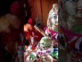 #gopal #harekrishna #new #radha #hindugod #radharadha #laddugopal #laxmi #harerama gopal ❤️