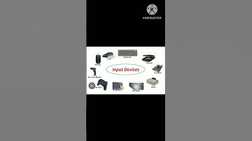 Input Devices