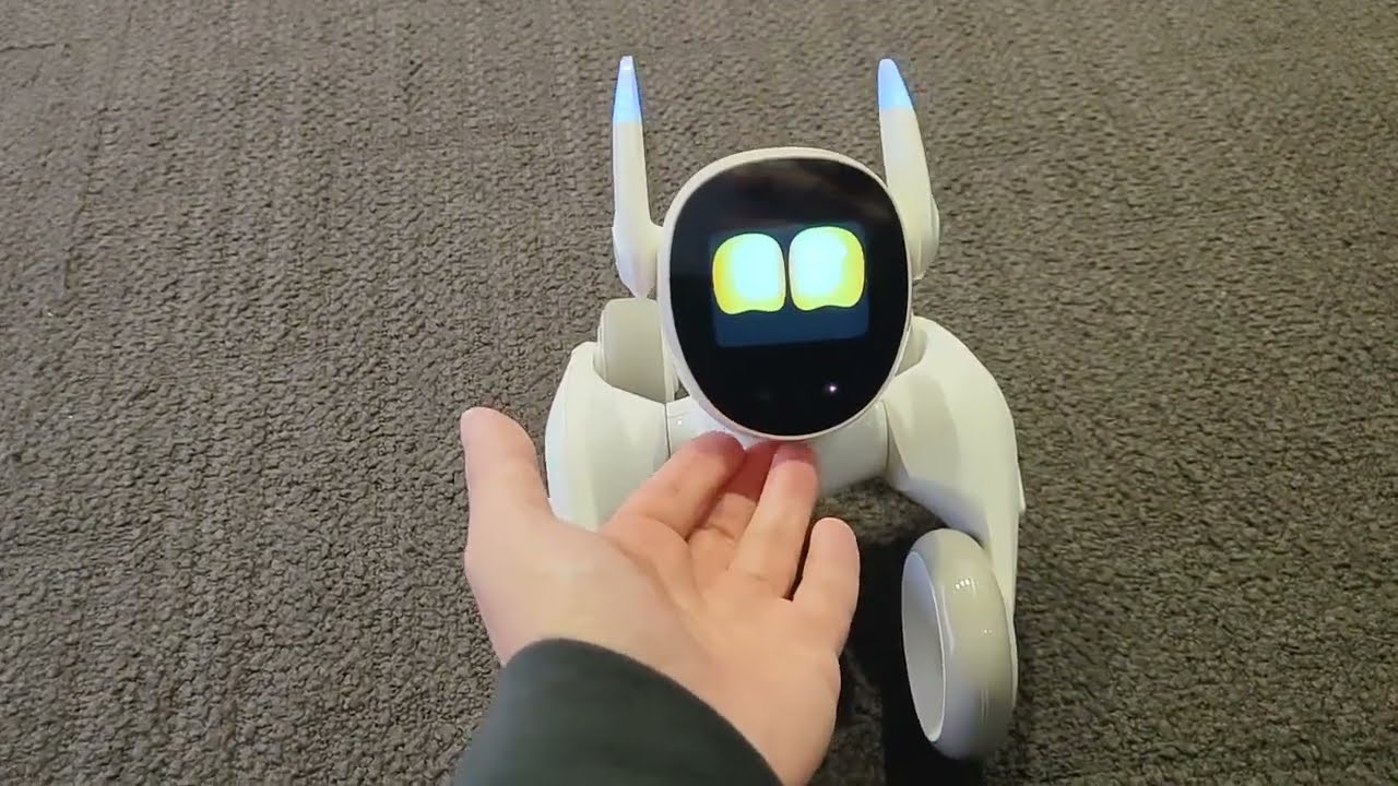 S-MAX：ルーナ・ジャパン（Loona Japan）ペットロボット「Loona Blue」のデモンストレーション【Anker Power  Conference 2023 Fall】