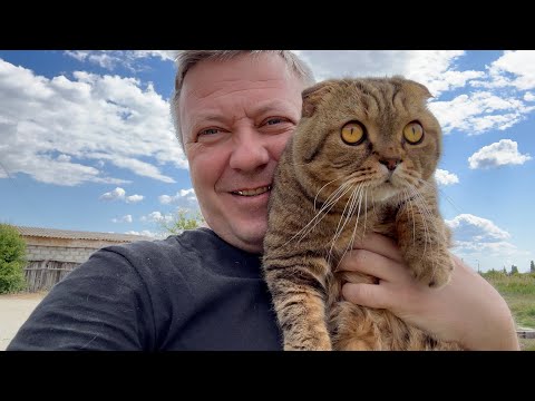 Видео: КУДА СЕЛИТЬ ИХ - притащил новых КРАСОТОК домой