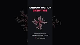 Full Random wandering grew these branches — Diffusion-Limited Aggregation News