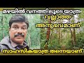      rain forest adventure travel  kulathupuzha 