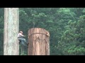 高木の伐採作業1（美国林業）
