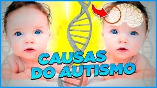 O que Causa o Autismo?