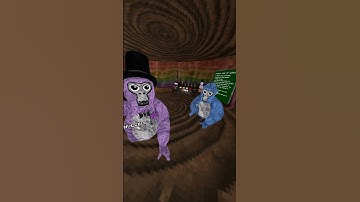 Day 8 of joining my Gtag fancode! #gorillatag #vr #gtag