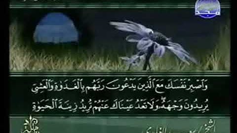 سورة الكهف من الآية 28 الى الآية 45