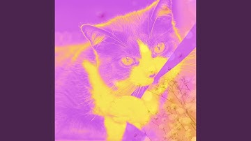 Pulsating Ambience for The Happy Cats