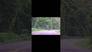 City Vibes to Nature Escape: Seamless Visual Journey! #shorts