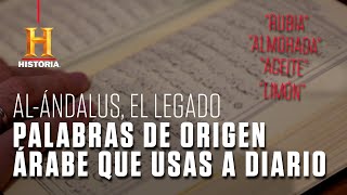 Palabras (de origen) árabe que usas a diario | AlÁndalus, el legado | Canal HISTORIA