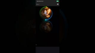 Neon loaders with html and css #html #css #animation #shortsfeed #fypp