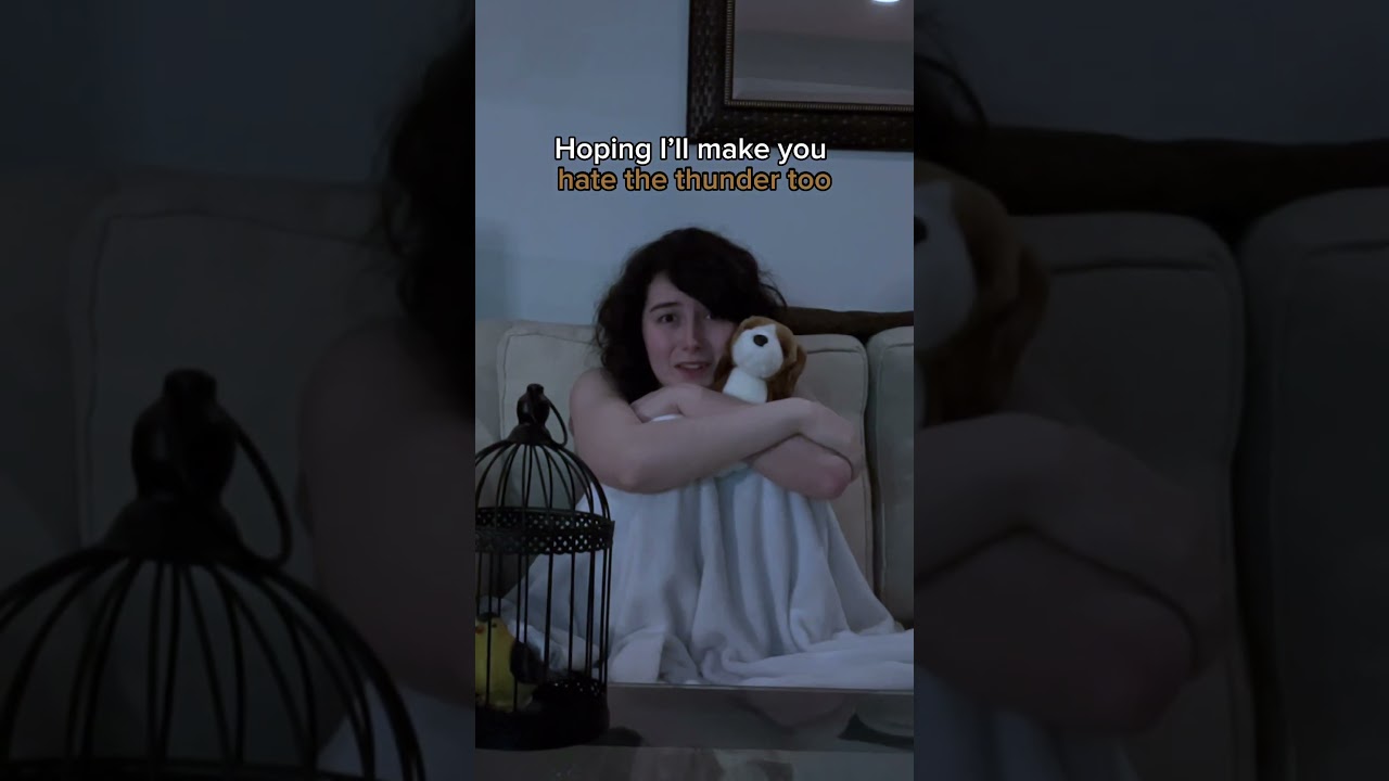 When all you ever do is apologize 🐶🕊️ 