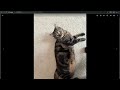 Middle of video