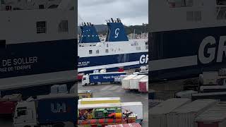 Harbour Palma De Mallorca