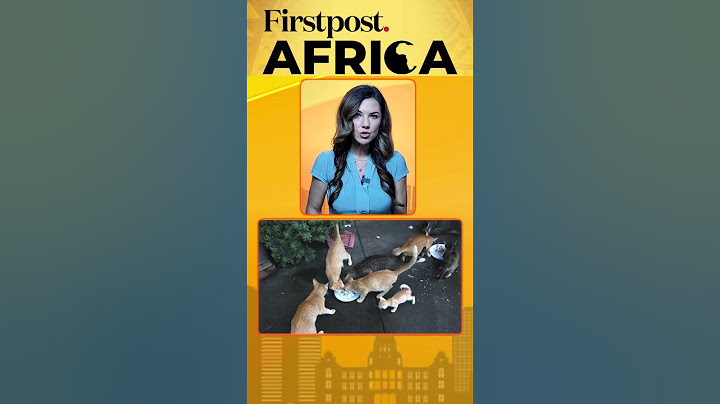 Kenya's "Cat Tax" Sparks Fury | Firstpost Africa | Subscribe to Firstpost