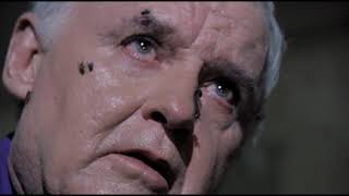 Wayne - Screams From Hell (Amityville Horror)