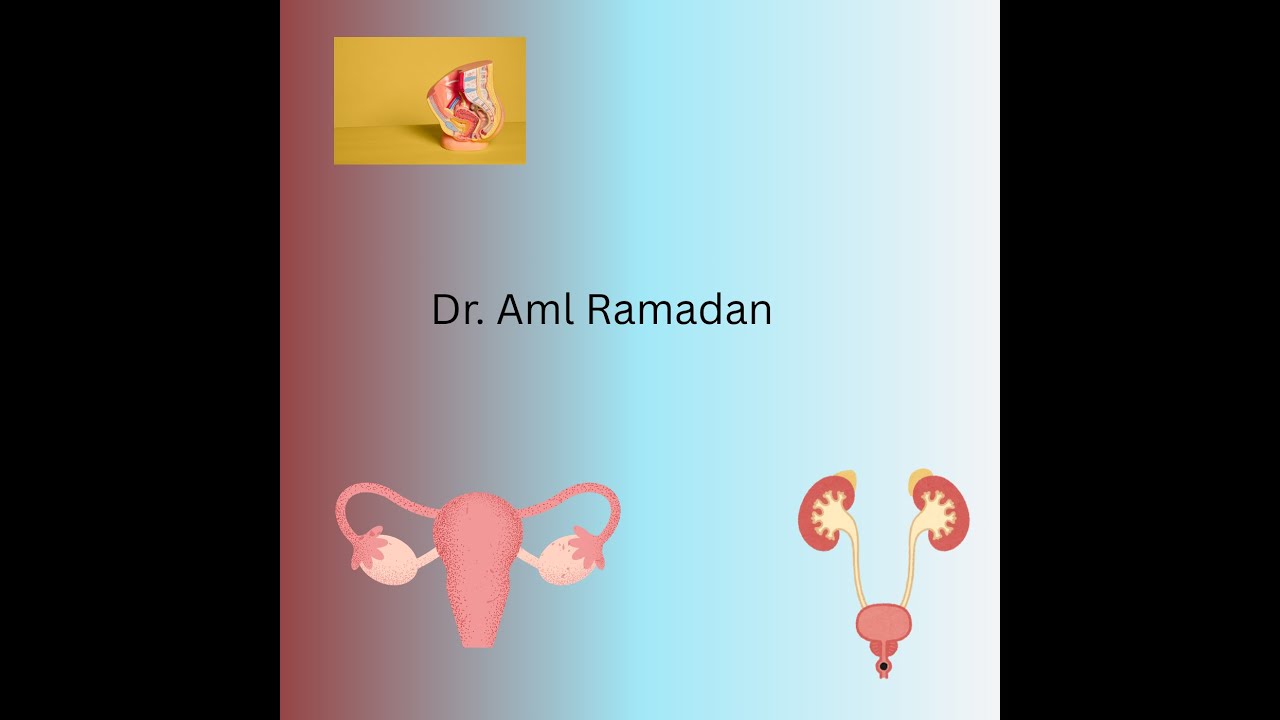 Development 1Kidney & Ureter