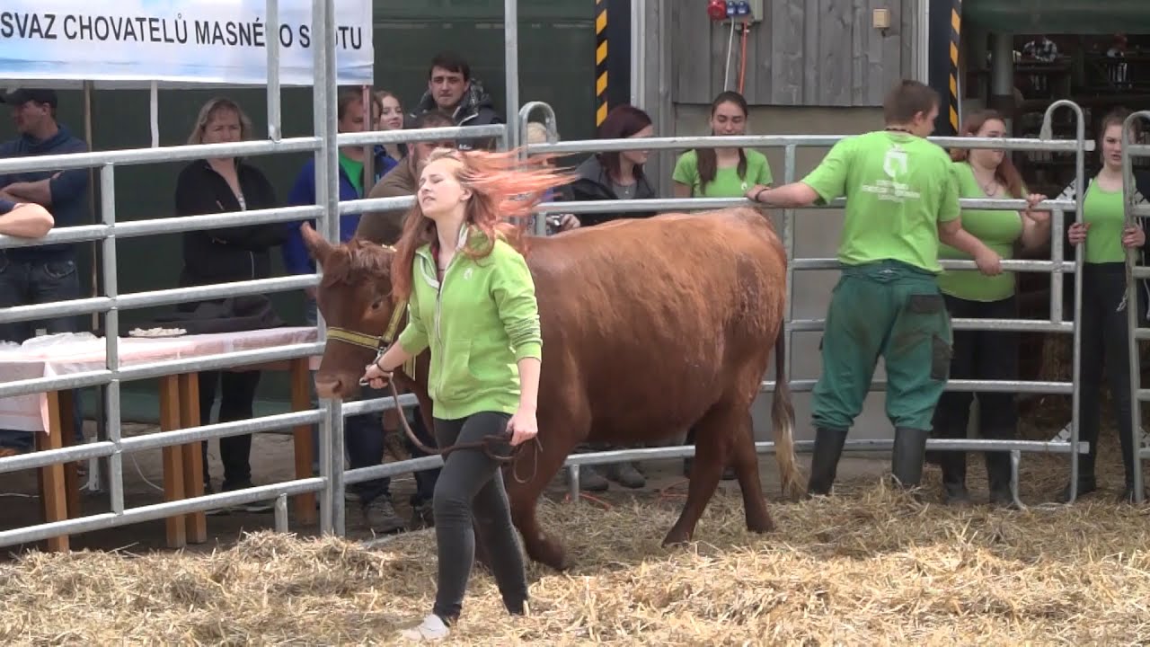 Střední škola zemědělská a veterinární v Lanškrouně
