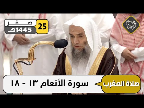 صلاة المغرب للشيخ فيصل غزاوي 25 صفر 1445هـ