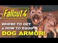 FALLOUT 4: Dogmeat's Dog Armor - Where to Find it & How to Equip It! (Rare Armor Location Guide)