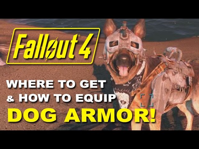 Featured image of post Fallout 4 Dog Armor Code The nearest spot to the armour is rocky narrows park