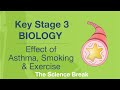 Impact of Asthma, Smoking, and Exercise on Breathing