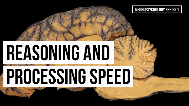 Which part of the brain is responsible for reasoning processing memory and Judgement?