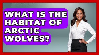 What Is the Habitat of Arctic Wolves? | Polar Regions Uncovered
