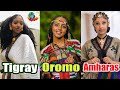 Exploring the unique traits of oromo amhara and tigray cultures of ethiopia ethiopan