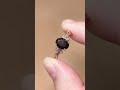 Vintage Oval Black Onyx Engagement Ring | Rose Gold Leaf Moissanite Wedding Band | Anniversary Gift