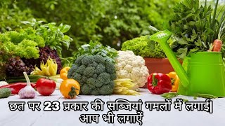 रामविलास जी ने छत पर लगाई है 23 सब्जियां || Vegitables growing in pots by Ramvilas