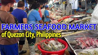 FARMERS MARKET TOUR in QUEZON CITY 2022 | Prices of Seafood in Metro Manila's Must Visit WET MARKET!