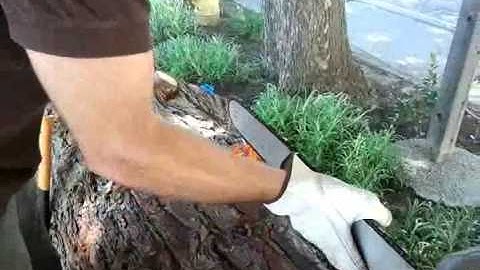 Chainsaw Stump Vise from Baileysonline.com