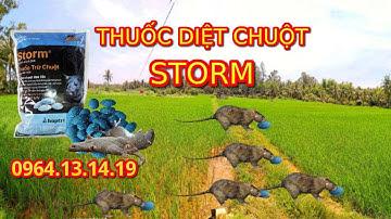 THUỐC DIỆT CHUỘT STORM | THUỐC DIỆT CHUỘT | CÔNG TY DIỆT CHUỘT TP.HCM | DỊCH VỤ DIỆT CHUỘT TP.HCM