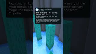 Burrito With A Catch