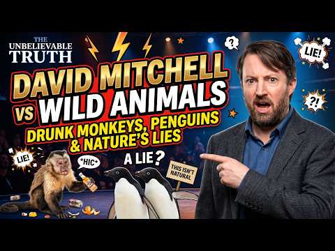 David Mitchell vs Wild Animals | Drunk Monkeys, Penguins & Nature's Lies