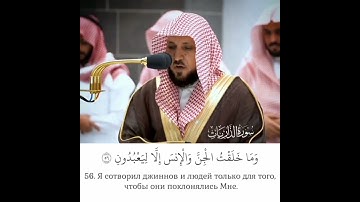 وَذَكِّرْ فَإِنَّ الذِّكْرَىٰ تَنفَعُ الْمُؤْمِنِينَ تلاوة الشيخ ماهرالمعيقلي 🕋