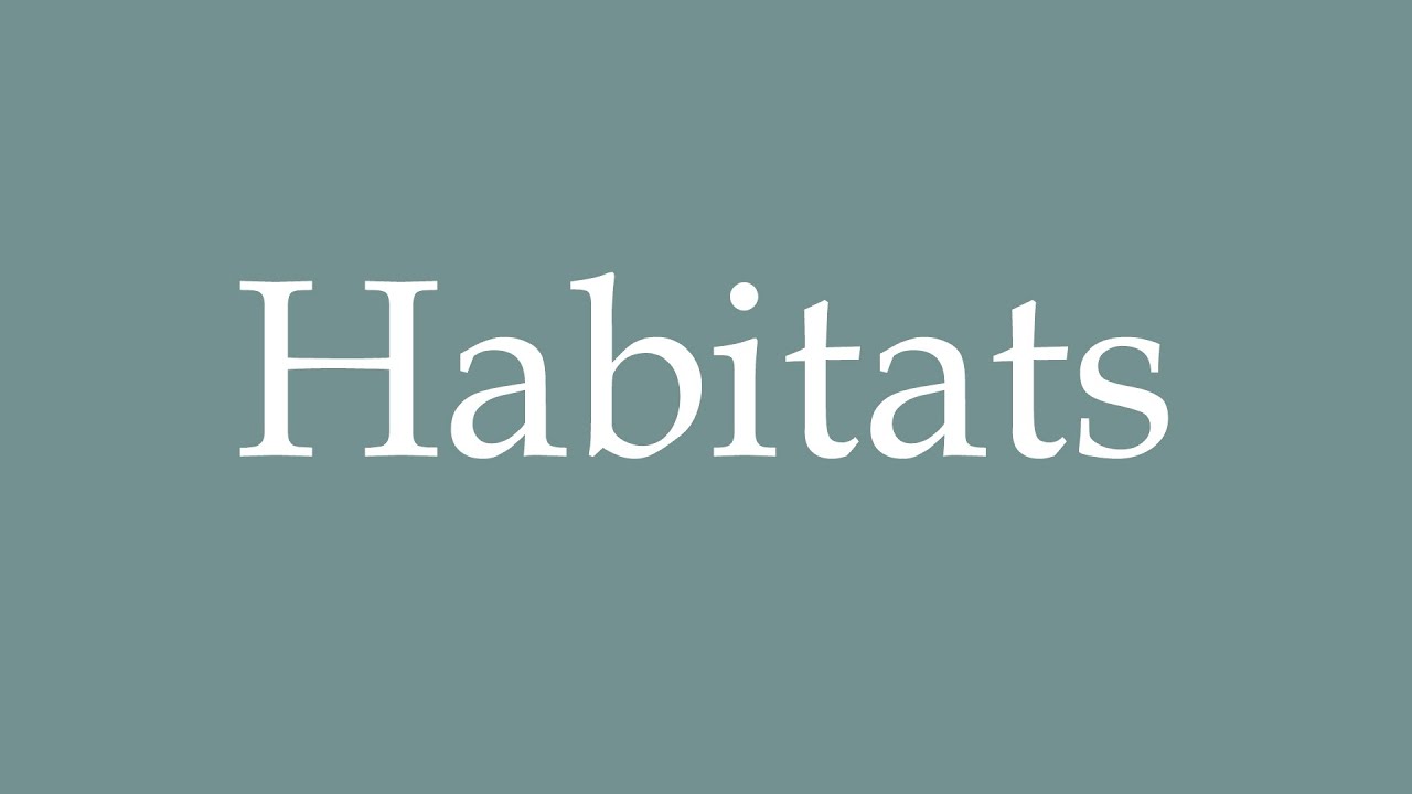 How to Pronounce ''Habitats'' Correctly in French YouTube