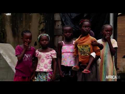Vidéo: Maladie D'immunodéficience Combinée (CID) Chez Les Chevaux