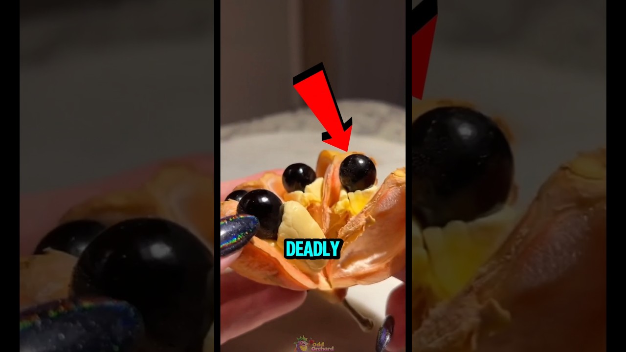 Top 5 "SAFE" Fruits Can Be Toxic If You Eat Them Wrong 😨😱