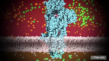 Calcium Pump (from PDB-101)