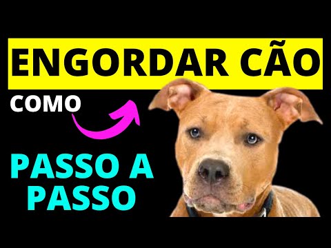 Vídeo: Como envolver o ombro de um cachorro (com fotos)