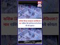 नाशिक जिल्हा कायद्याचा बालेकिल्ला? मात्र नाशिक येथे मालेगाव मध्ये कोयता गँग ची दहशत ! #nn360