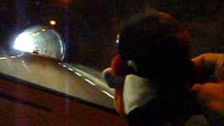 Pingu Does 16 Sec Tuberide In Norway