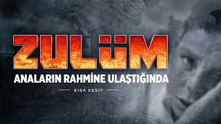 Zulüm Anaların Rahmine Ulaştığında | Tevhid Dergisi