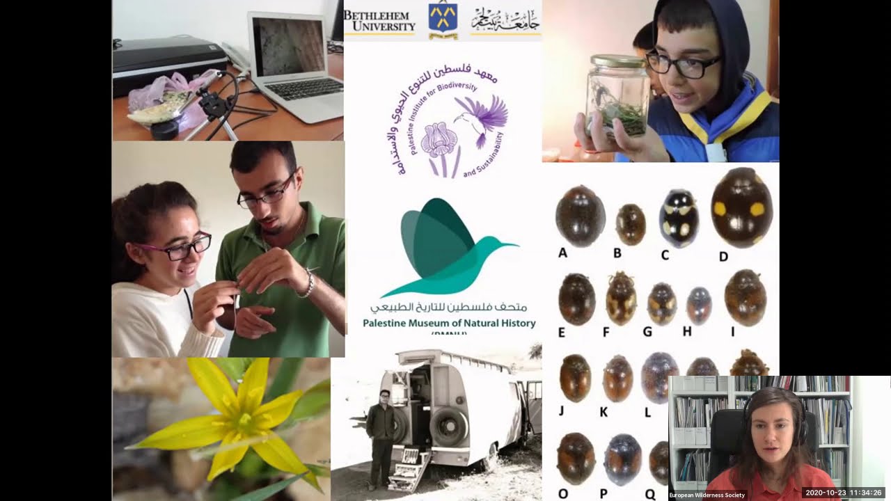 Researching and protecting Wilderness in times of conflict and pandemics – Mazin Qumsiyeh, Palestine