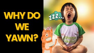Random Fun Facts #2 | Did you Know Facts | Fun Facts | Trivia