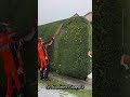❄️☃️⚔️ #asmr #landscape #beautifultools #shortvideo #satisfying #snow #snowfall #short #stihl