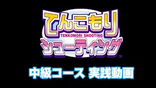 TENKOMORI SHOOTING(てんこもり シューティング) 1998©BANDAI NAMCO Amusement Inc. screenshot 3